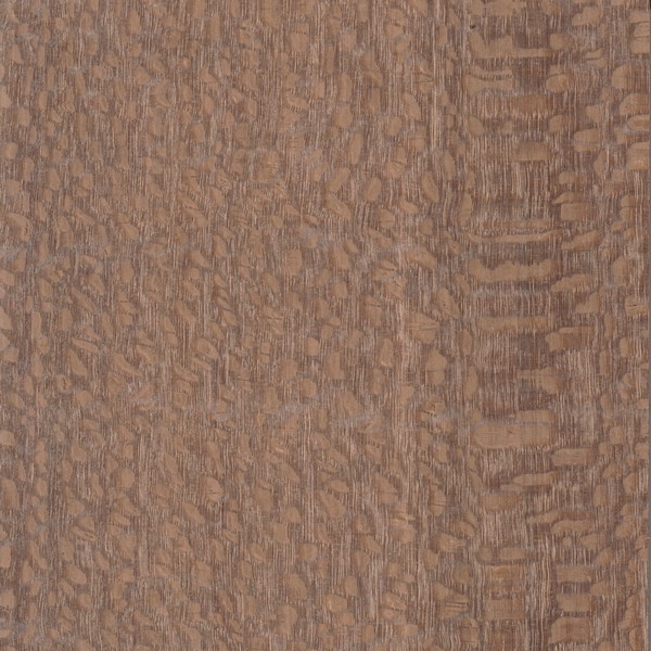 Leopardwood wood